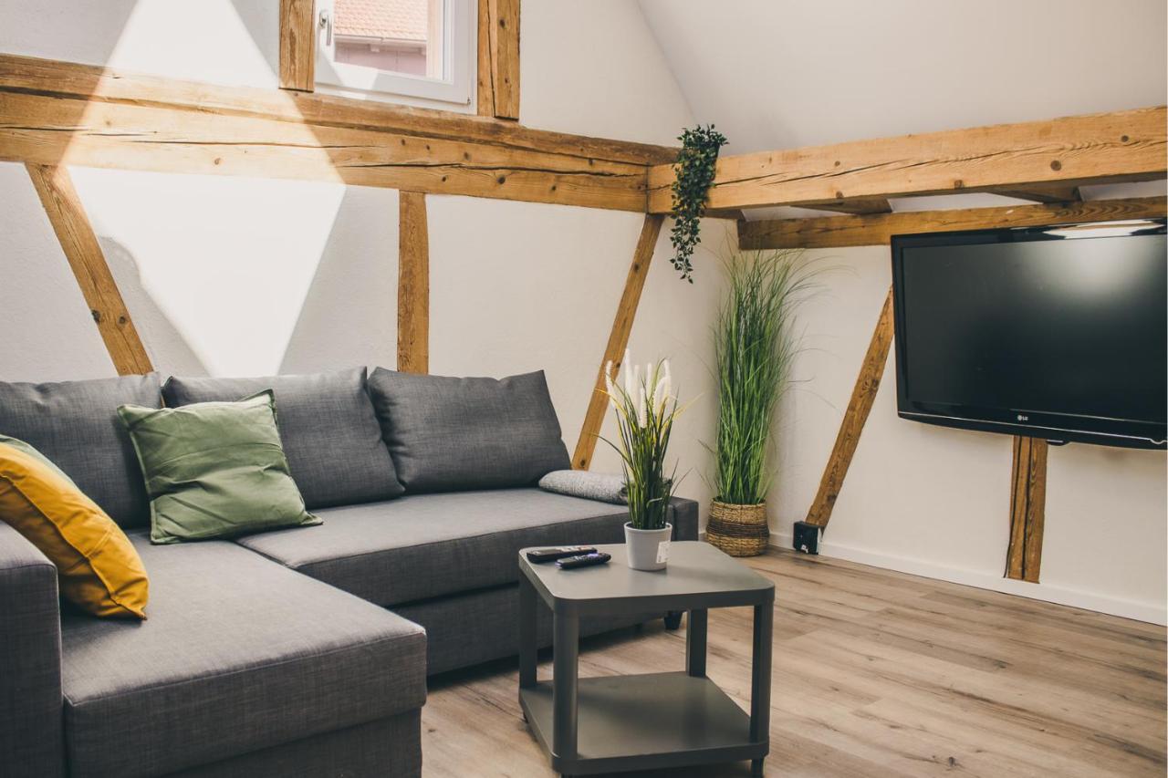 Apartment Im Alten Fronhof Balingen Kültér fotó